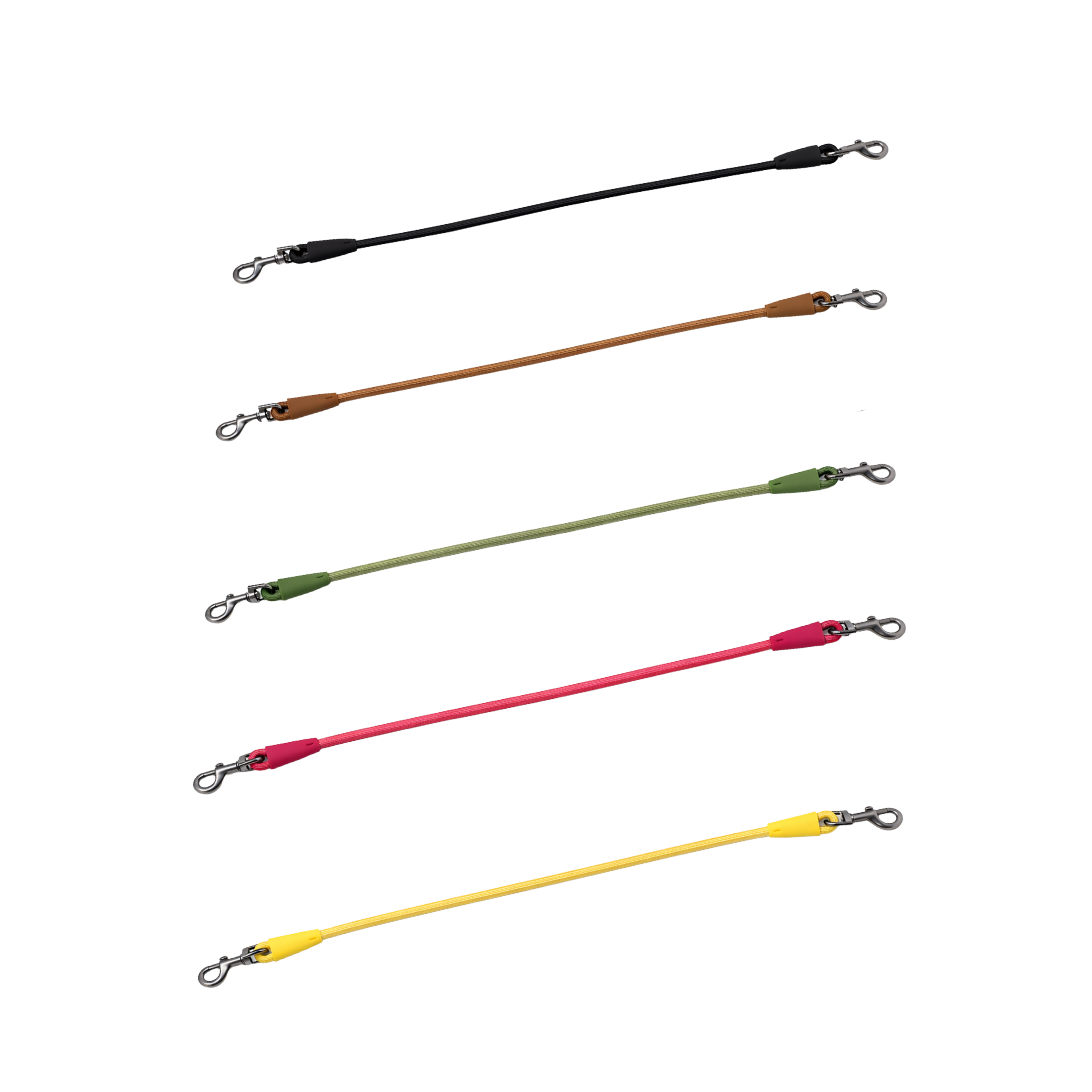 dog lead