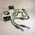 Petchii All-in-One Bundle – Dual Dog