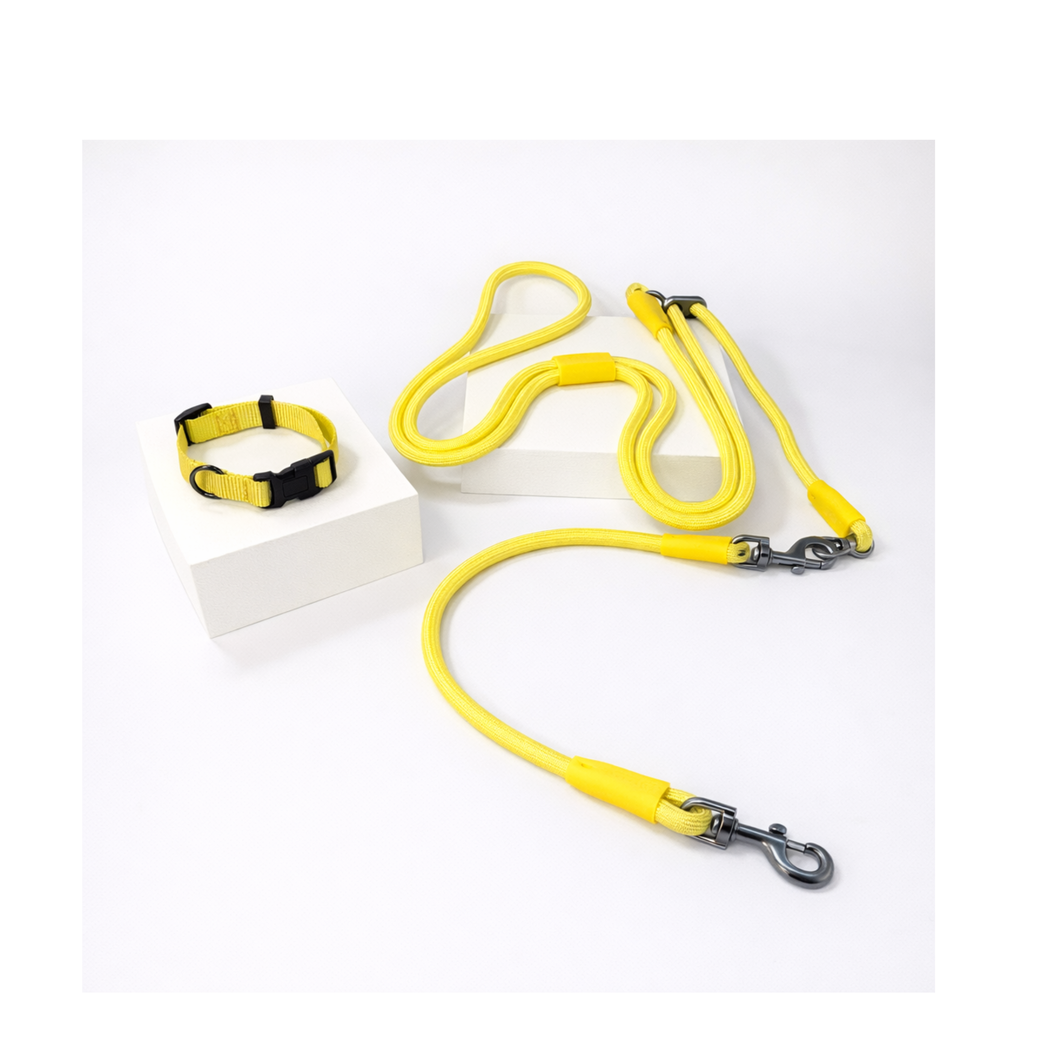 starter set (single dog)