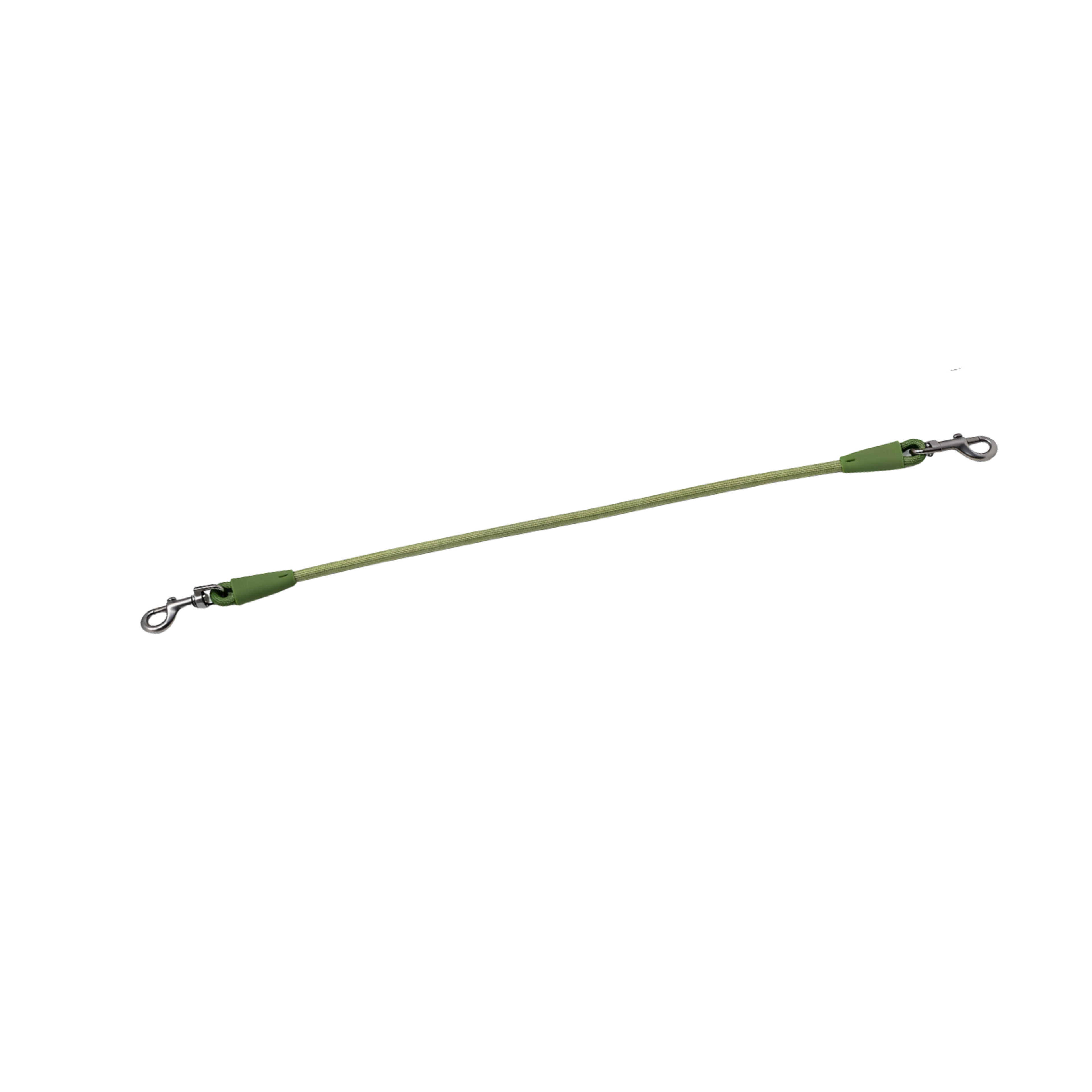 dog lead