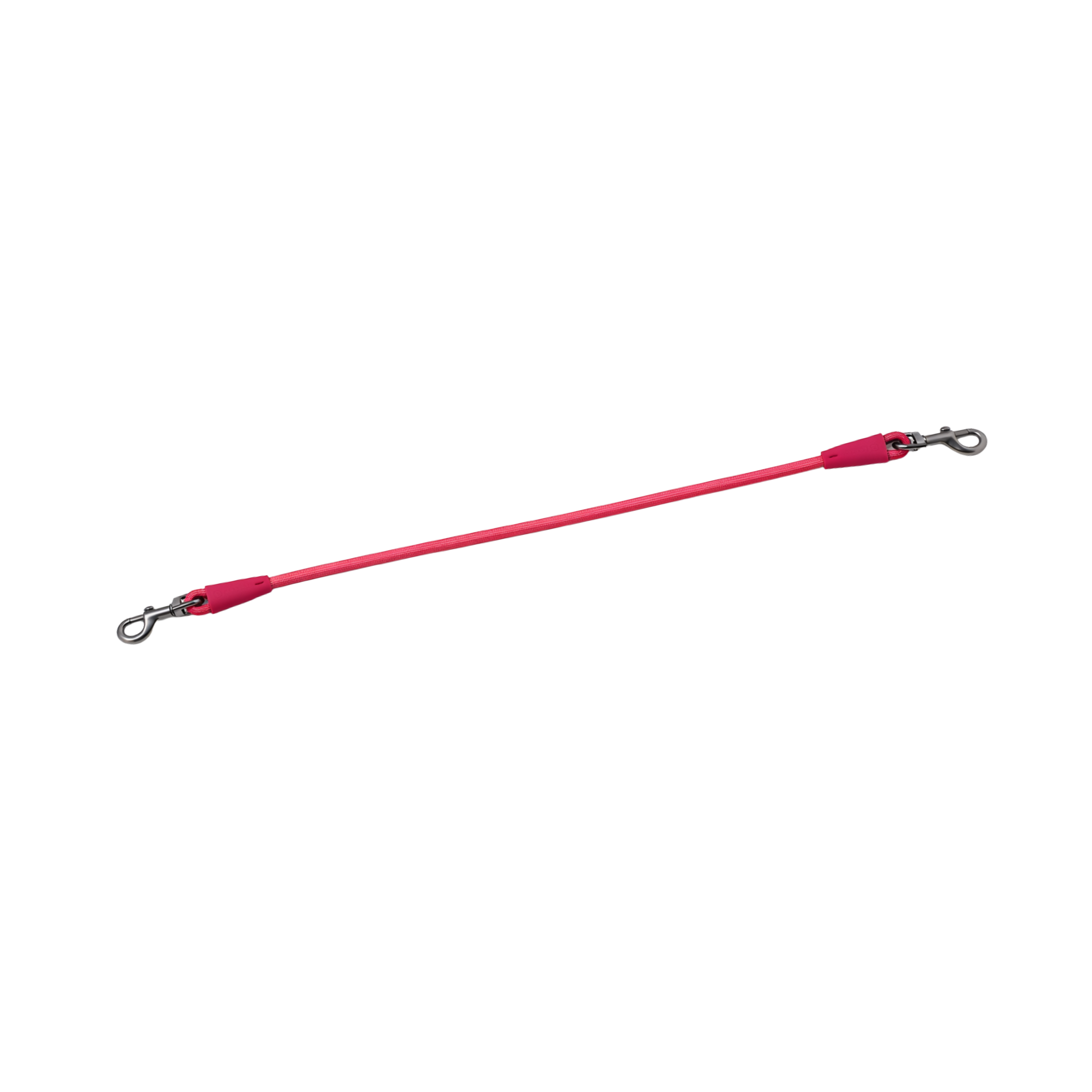 dog lead