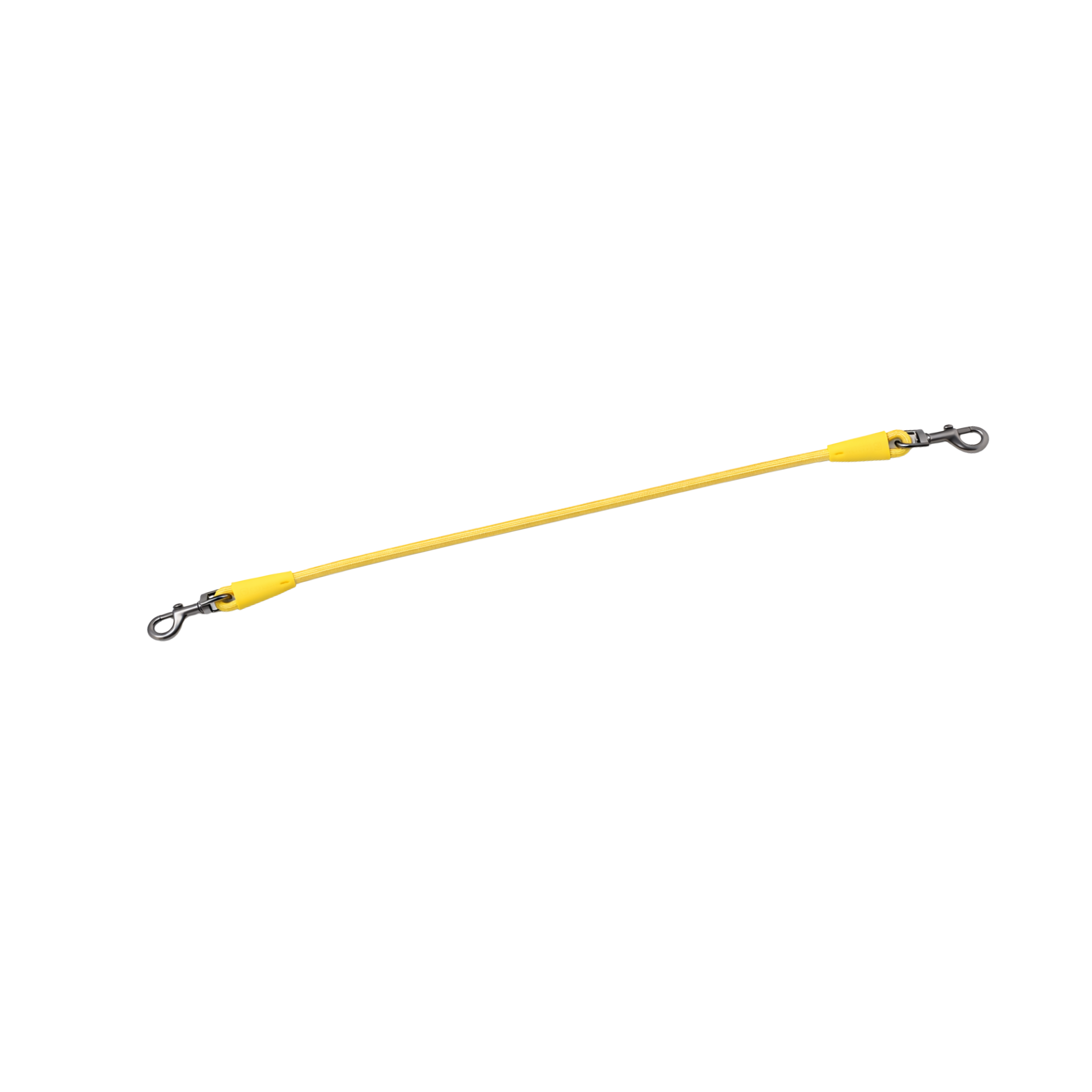 dog lead
