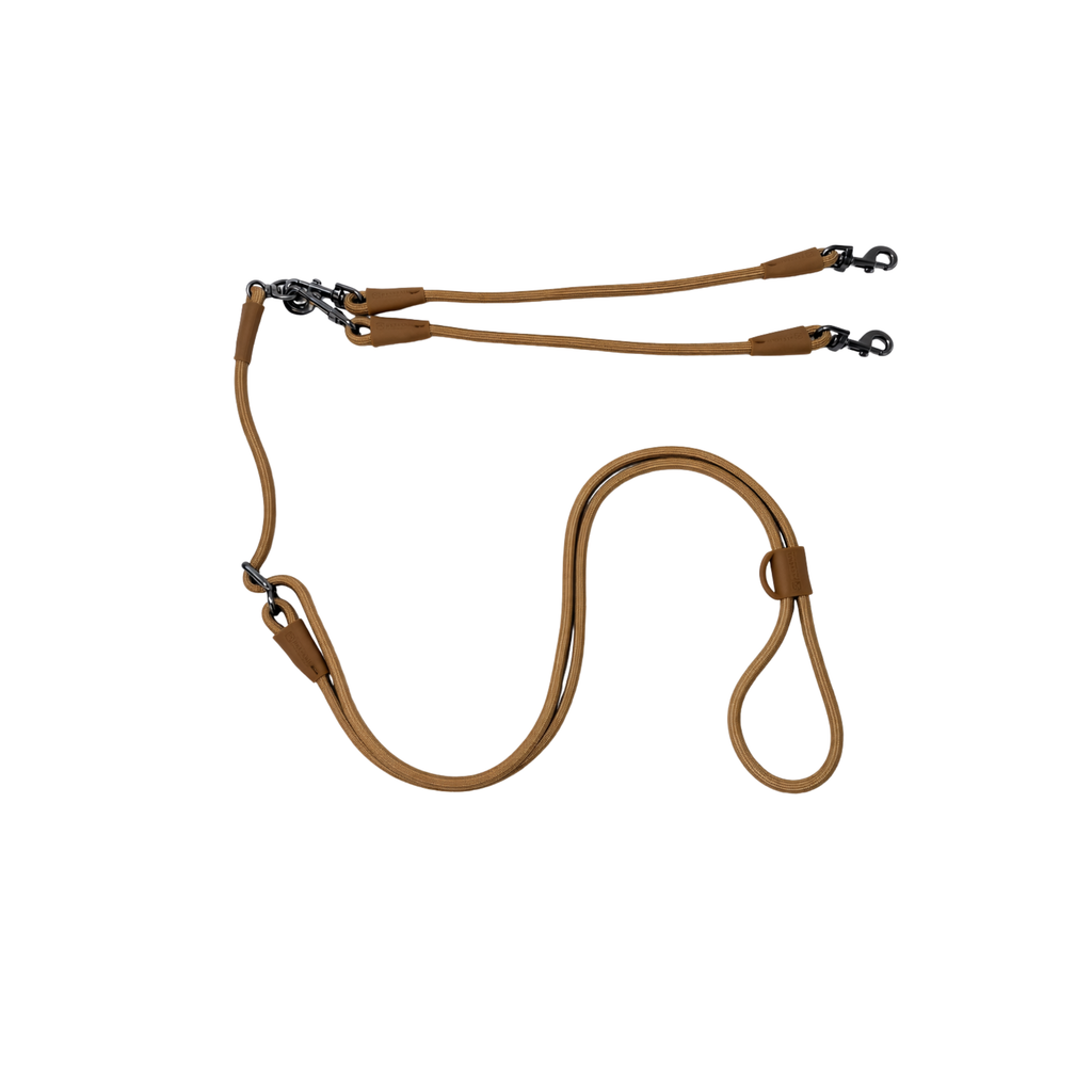 hands free leash (dual dog lead)