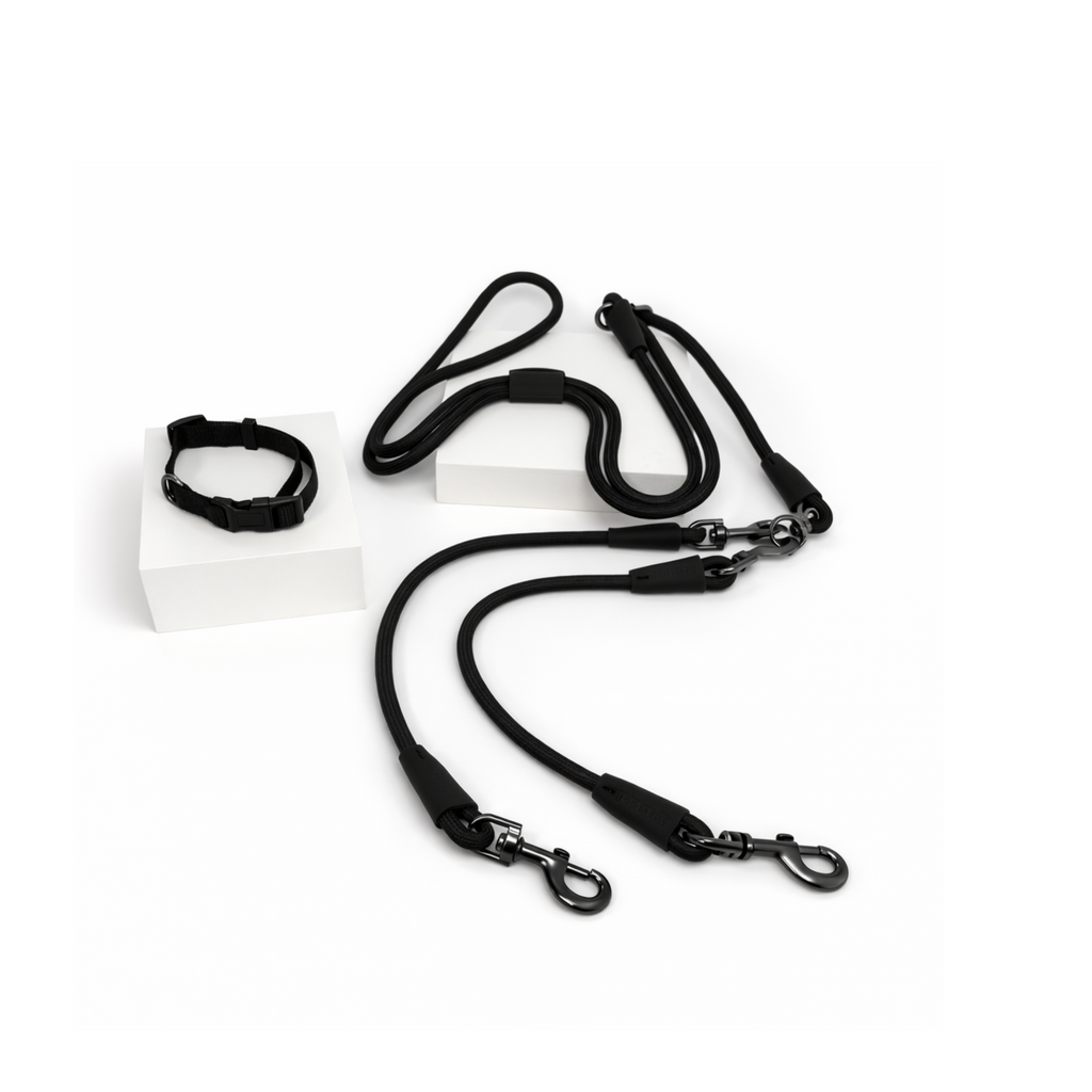 Petchii Starter Set – Dual Dog