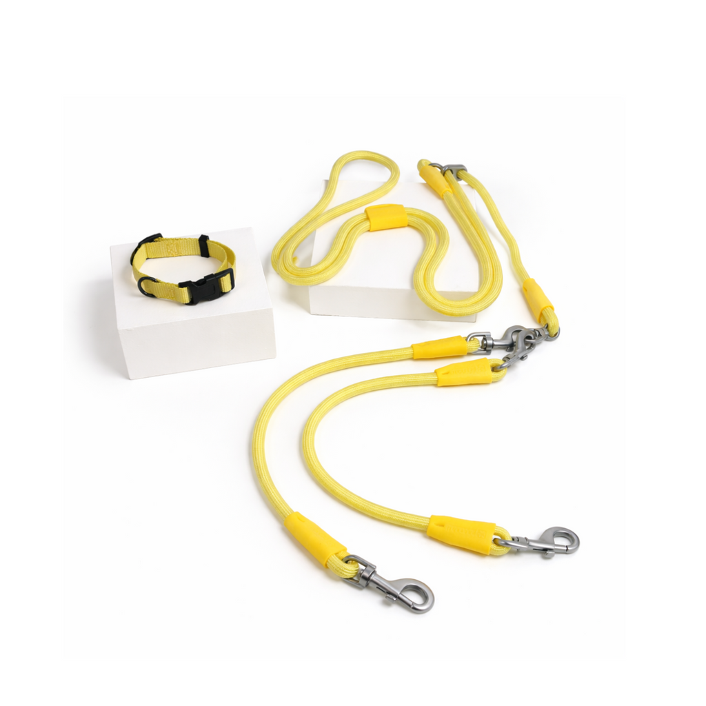 Petchii Starter Set – Dual Dog