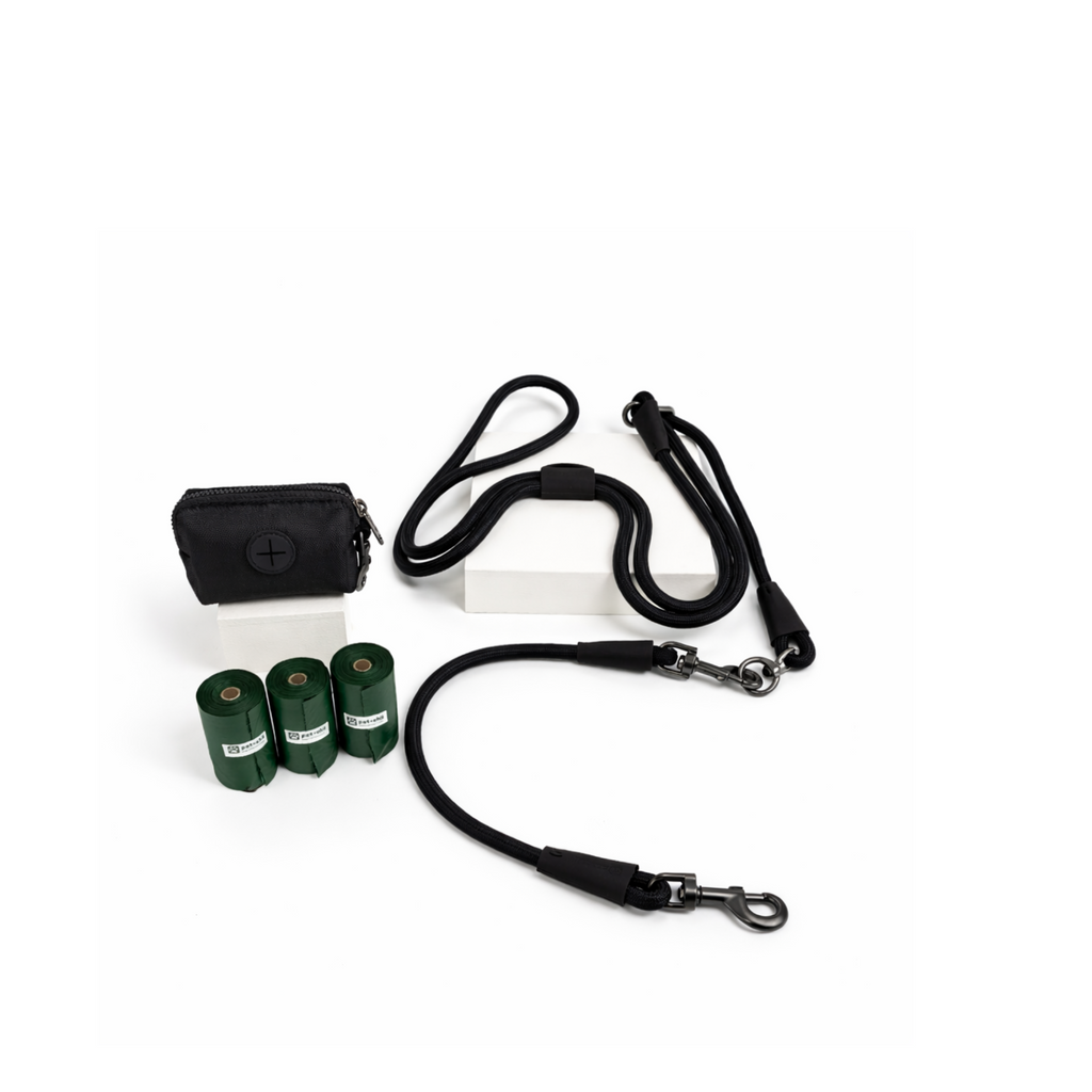walking essentials