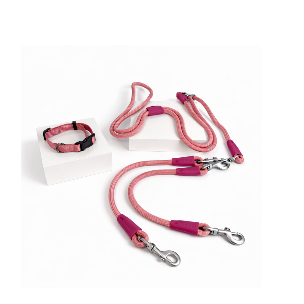 Petchii Starter Set – Dual Dog