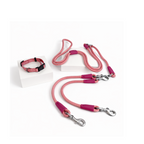 Petchii Starter Set – Dual Dog