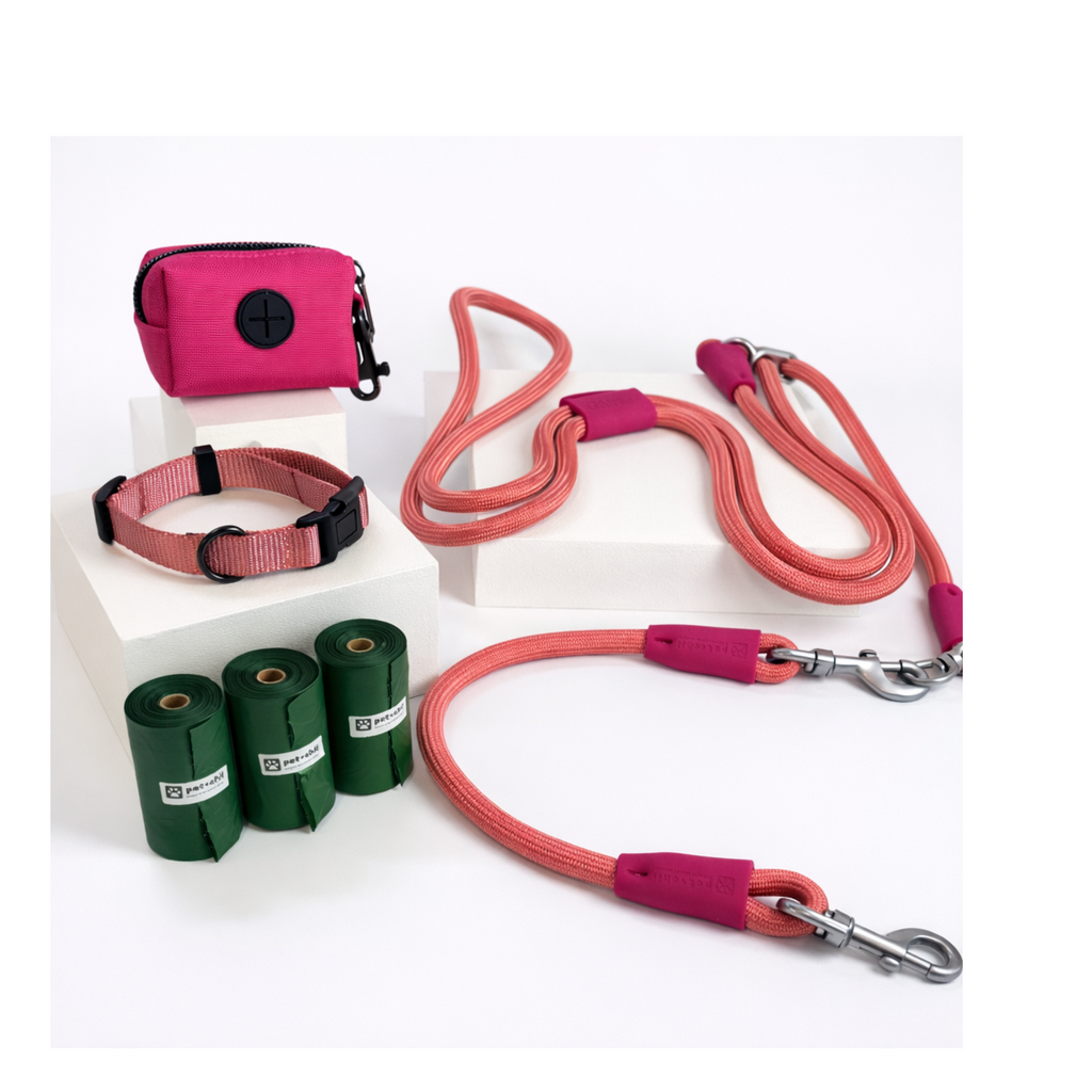 Petchii All-in-One Bundle