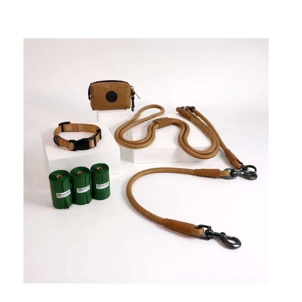 Petchii All-in-One Bundle