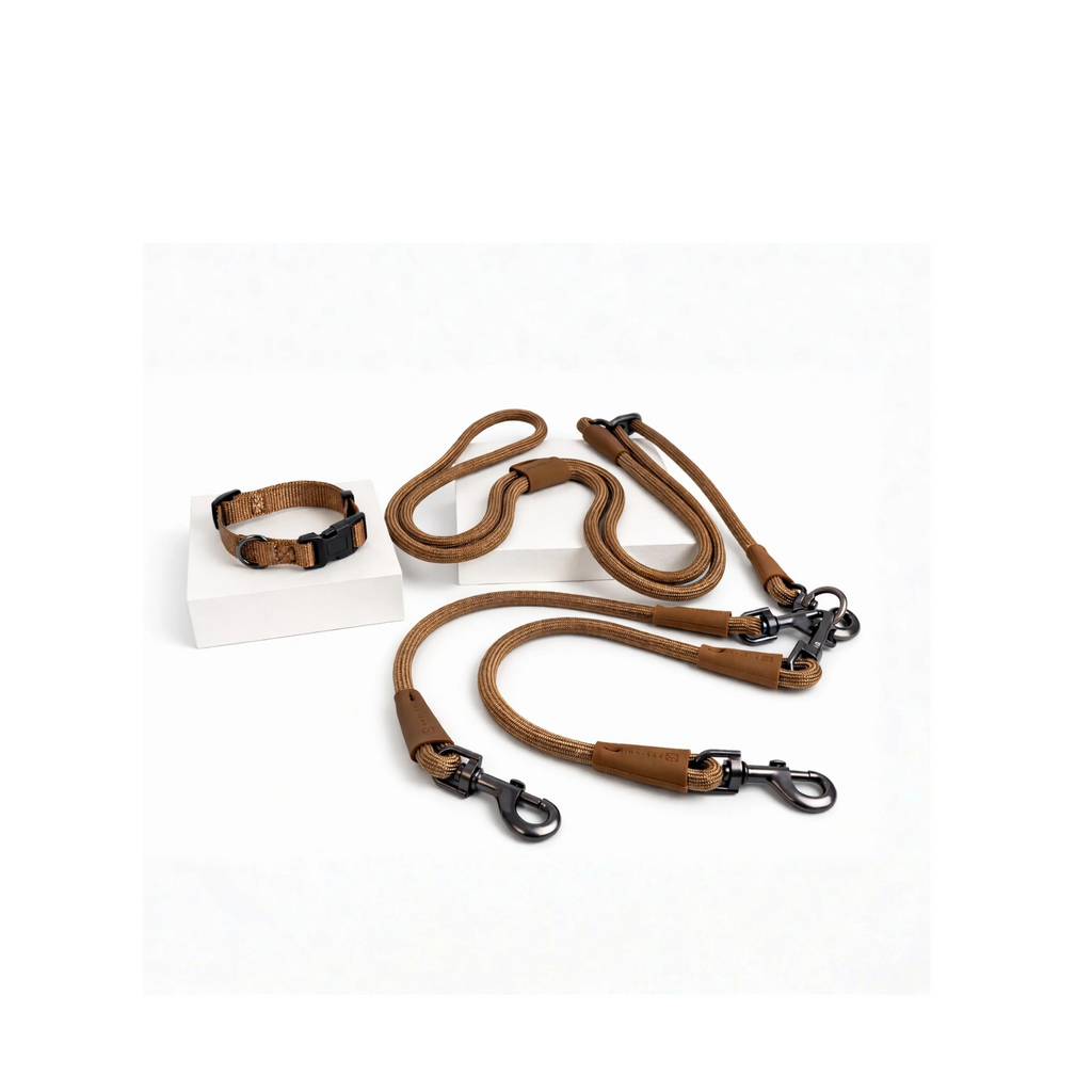 Petchii Starter Set – Dual Dog