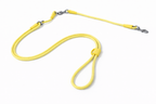 Petchii Hands-Free Dog Leash