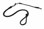 Petchii Hands-Free Dog Leash