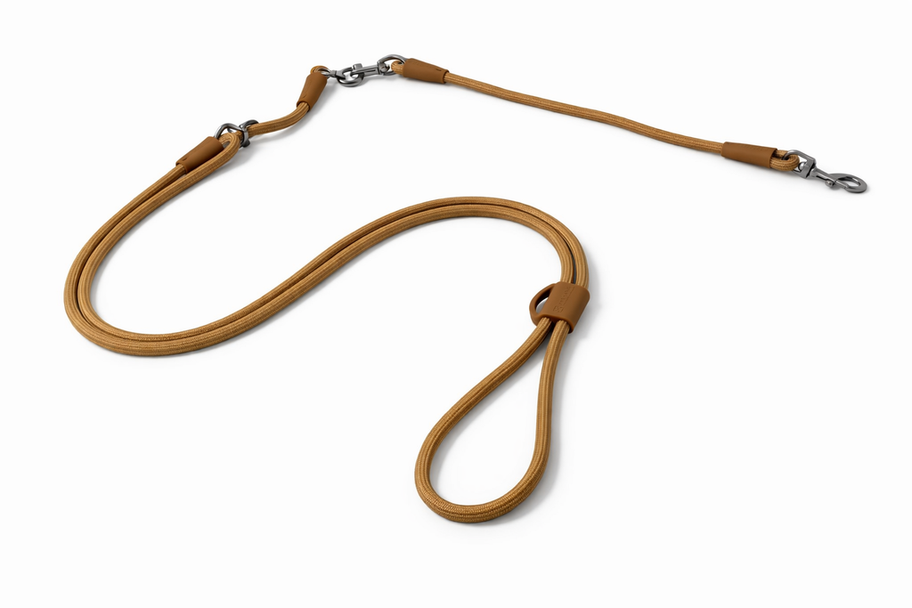 Petchii Hands-Free Dog Leash