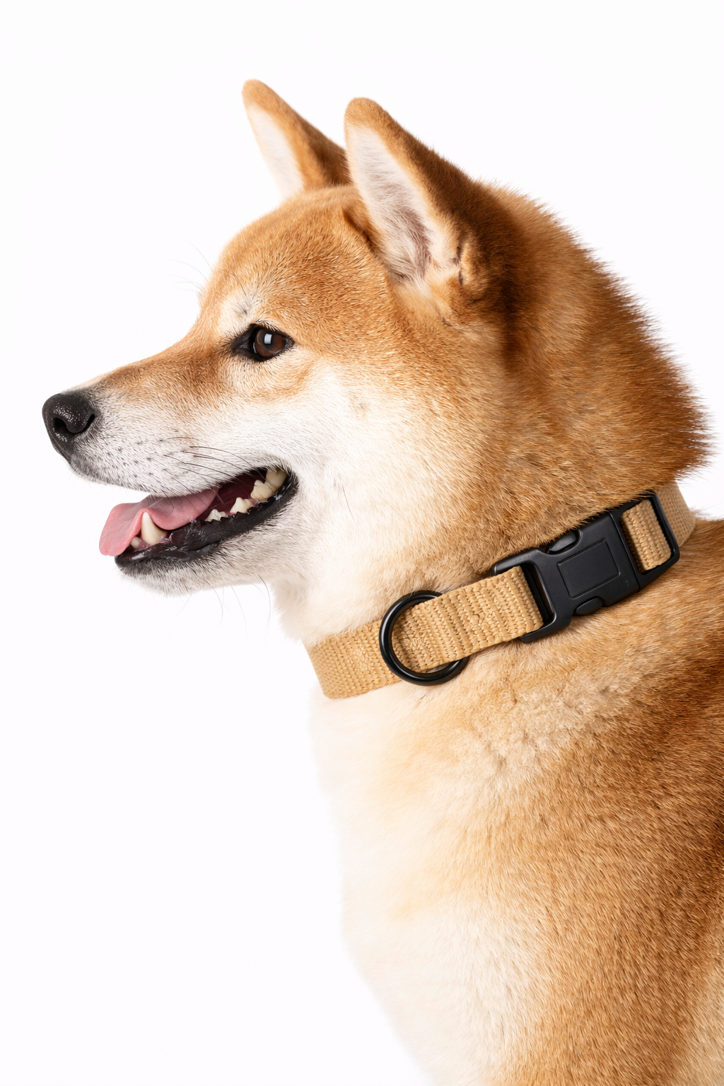 collar