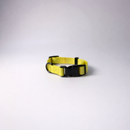 collar