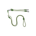 hands free leash (dual dog lead)
