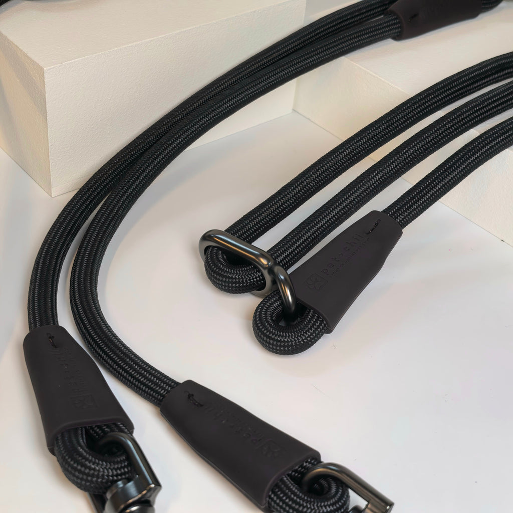 hands free leash (dual dog lead)