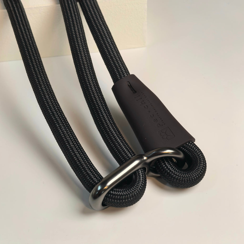 hands free leash (dual dog lead)