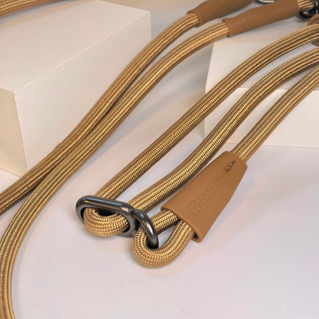 hands free leash (dual dog lead)