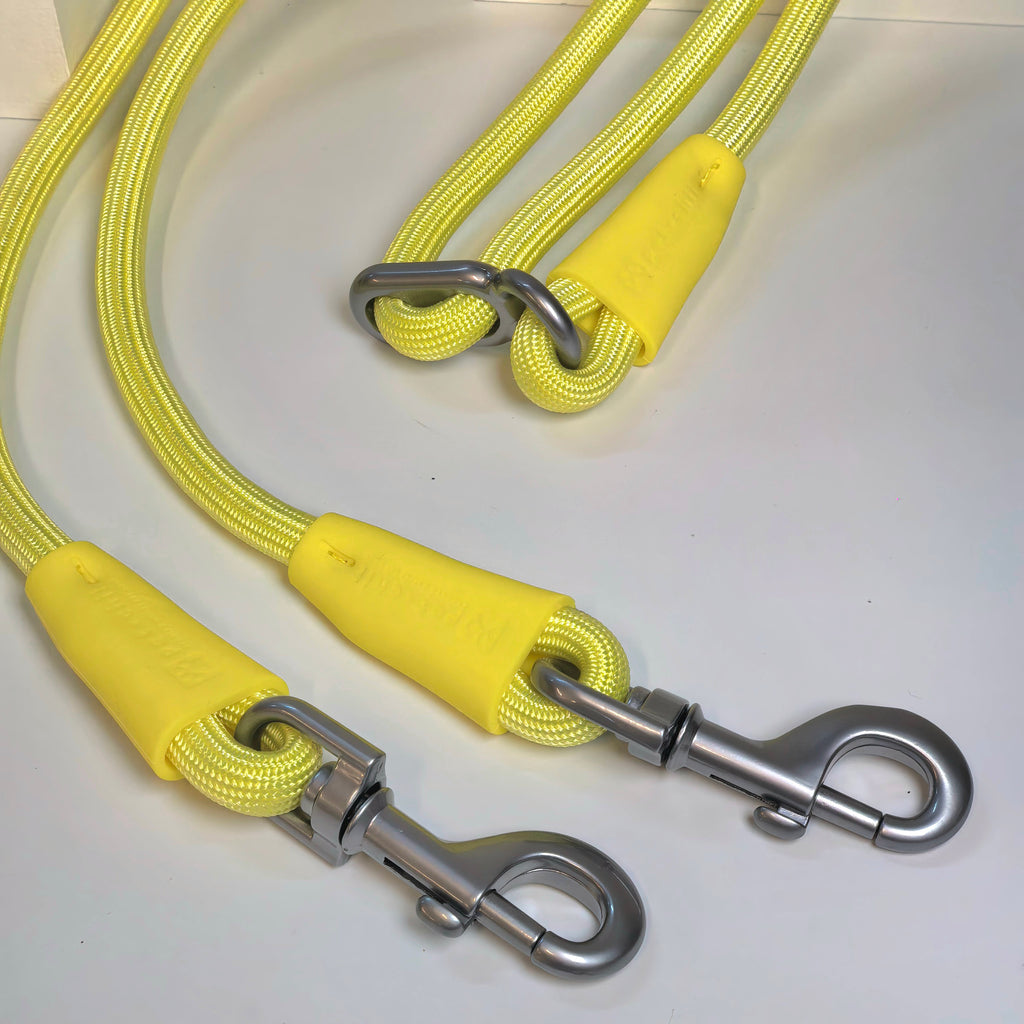 hands free leash (dual dog lead)