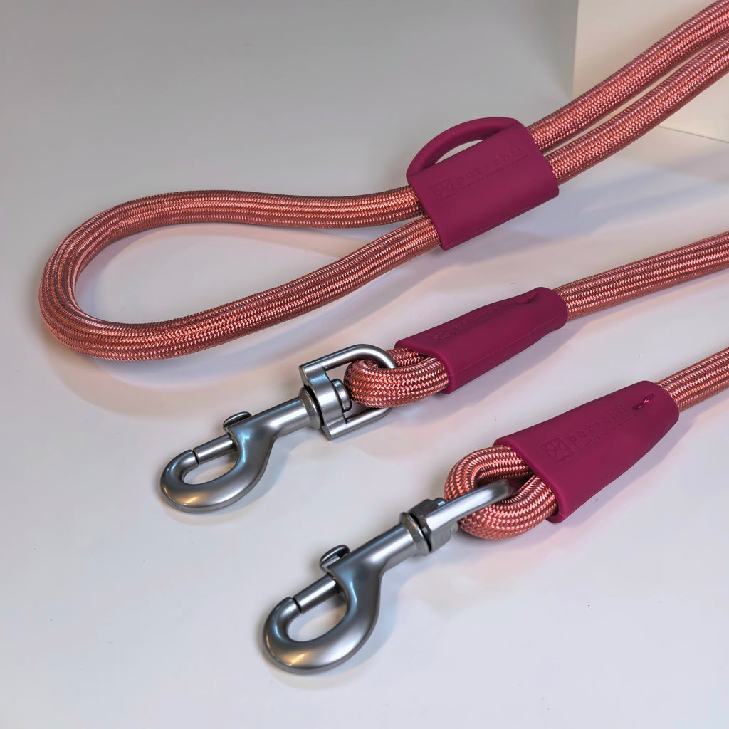 hands free leash (dual dog lead)