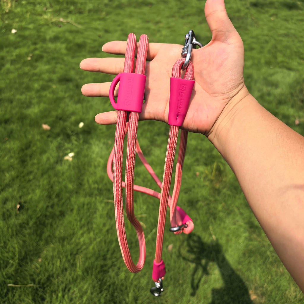 Petchii Dual Dog Hands-Free Leash