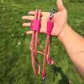 Petchii Hands-Free Dog Leash