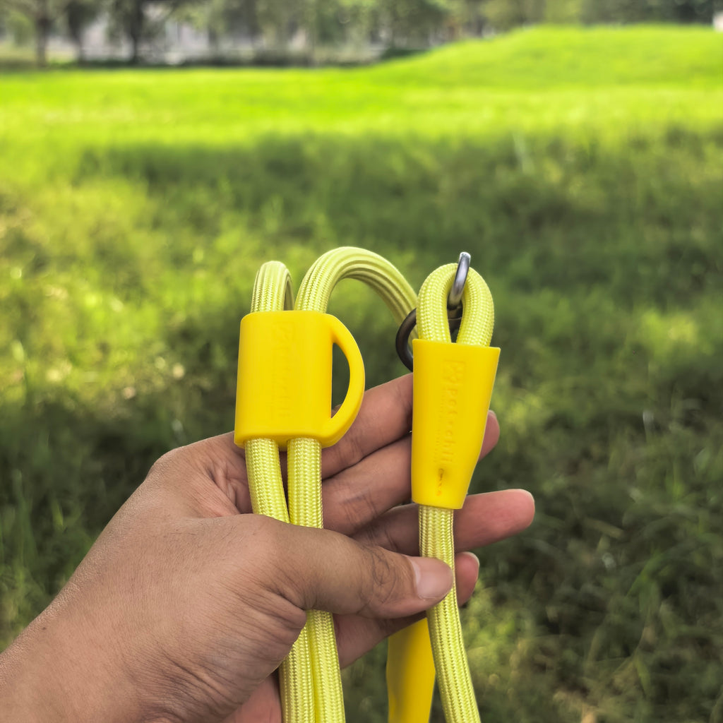 Petchii Hands-Free Dog Leash